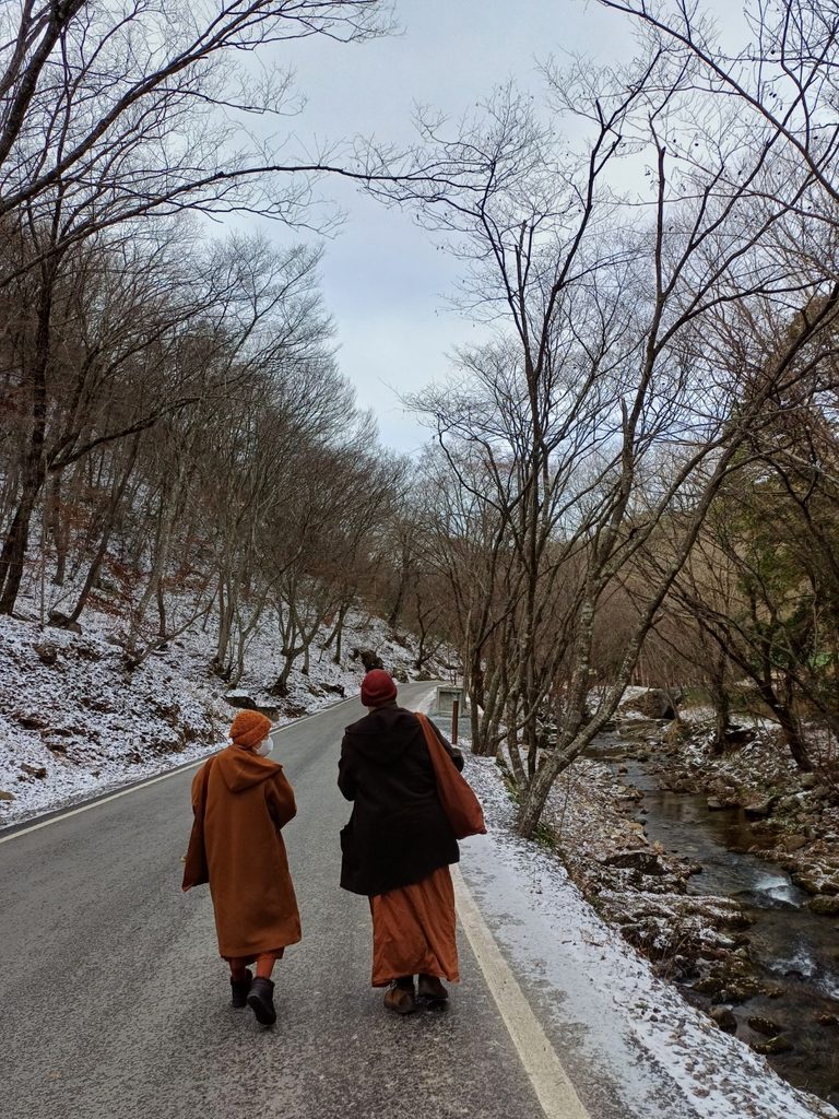 Ayya Sucitta and Ayya Niyyanika walking down snowy road next to the Sangha Treasure Temple river