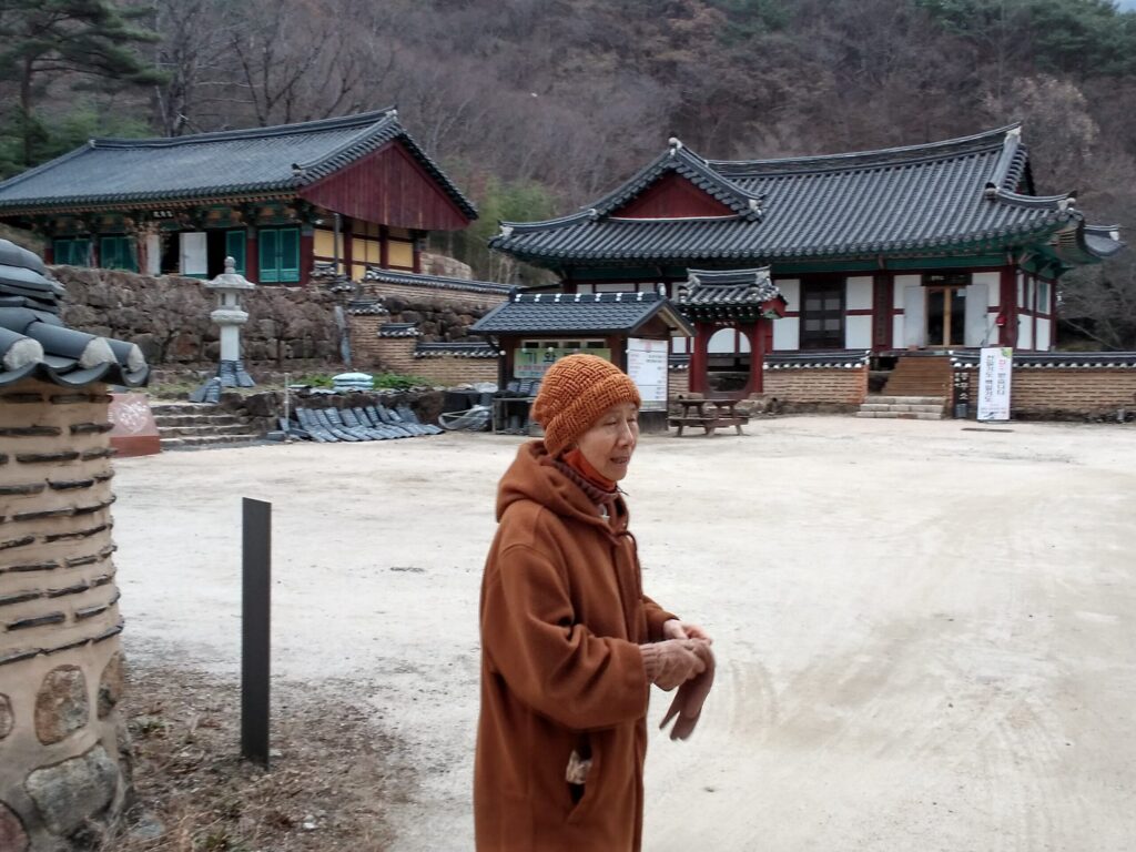 Ayya Sucitta in temple courtyard